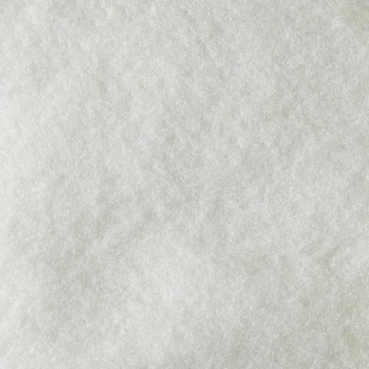 Warm Company Soft & Bright White