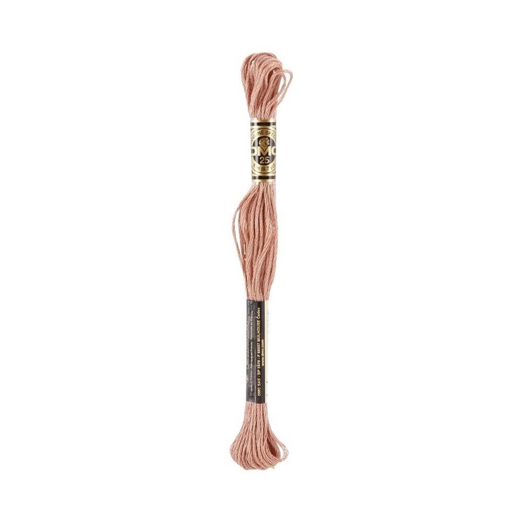 DMC Stranded Cotton Thread Colour #407