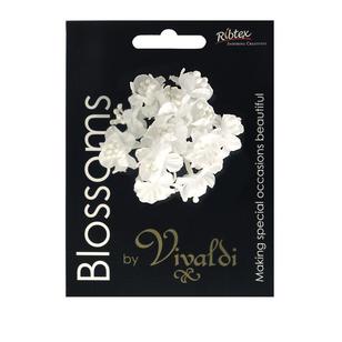 Vivaldi Blossoms 12 Head Flower With Pearl Stamens White 17 mm