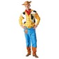 Disney Toy Story Adult Cowboy Woody Costume Multicoloured