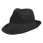 Amscan Supporter Fedora Hat Black