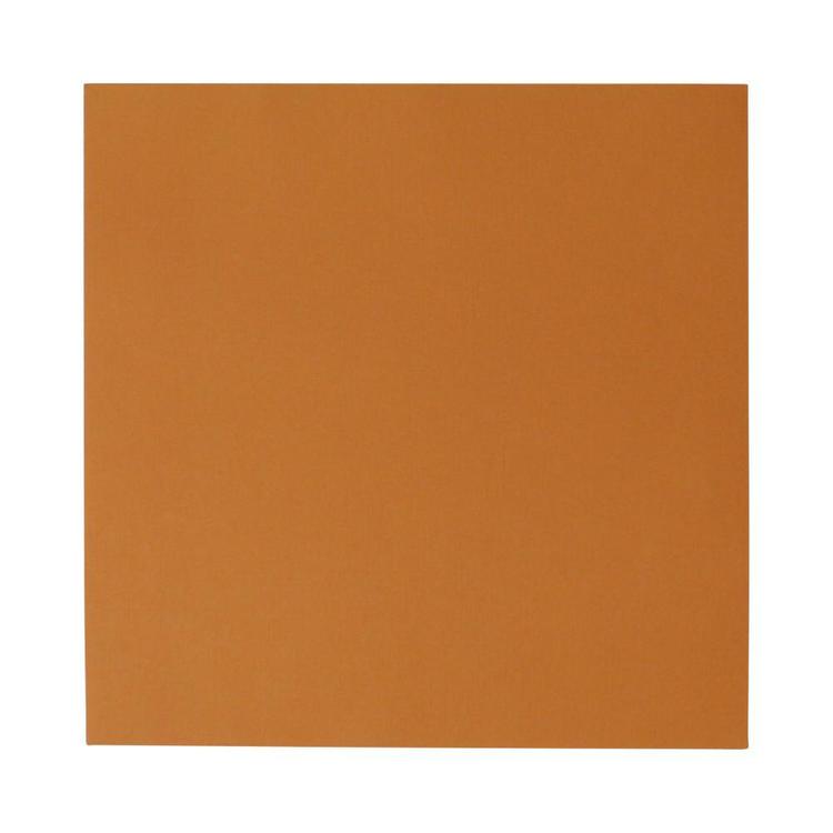 American Crafts Cardstock Apricot 12 x 12 in
