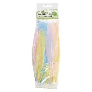 Club House Mixed Turkey Quills Pastels