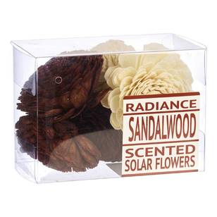 Radiance Boxed Sola Flowers natural