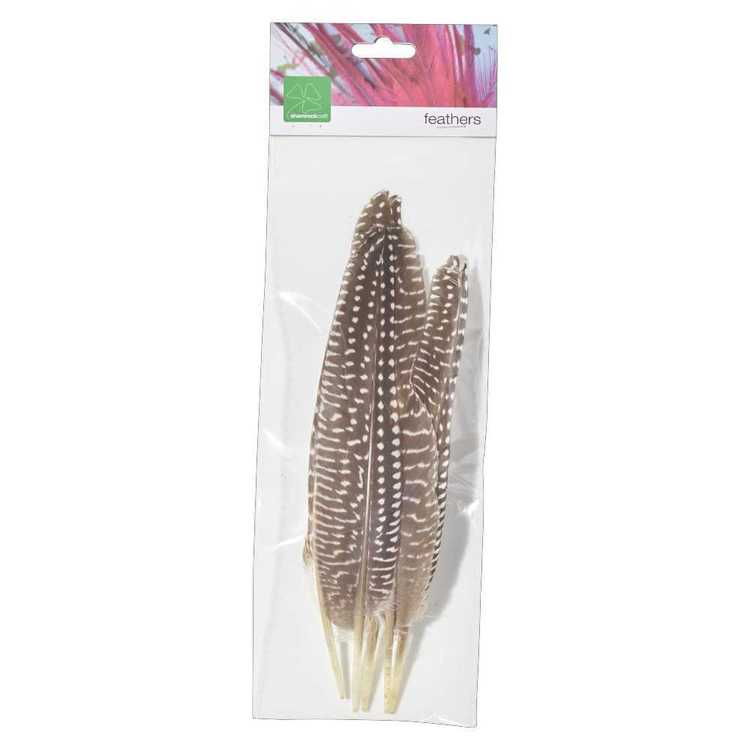 Shop Craft Feathers Online