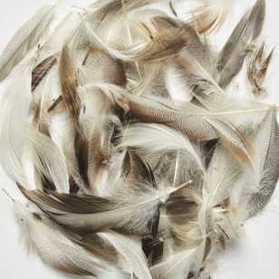 Natural Duck Feathers Natural 10 g