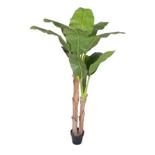Banana Leaf Plant Green 180 cm