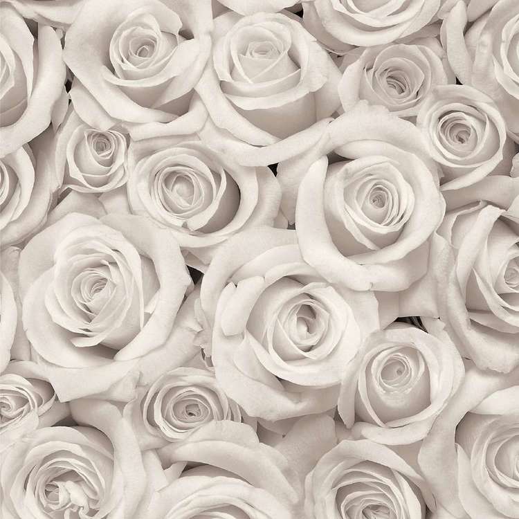American Crafts White Roses Print White 30 x 30 cm