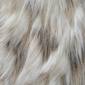 Snowshoe Hare Deluxe Fur Fabric Cream 148 cm