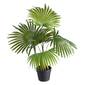Botanica Artificial Palm Potted Plant Green
