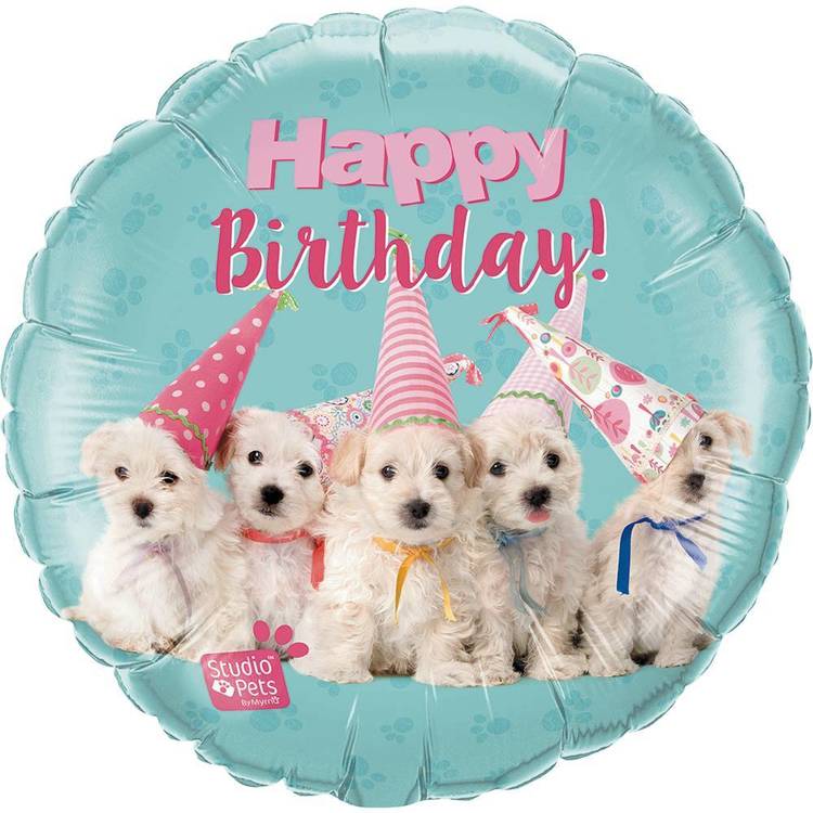 Qualatex Birthday Puppies Foil Balloon Teal