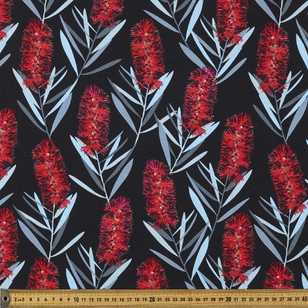 Jocelyn Proust Callistemon Black & Red 112 cm