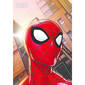 Spider-Man Webbed Wonder Folded Loot Bags Multicoloured