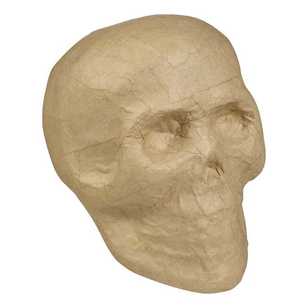Shamrock Craft Papier Mache Skull Head Natural 16.5 cm