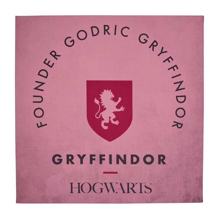 Harry Potter Founder Godric Gryffindor Wall Canvas