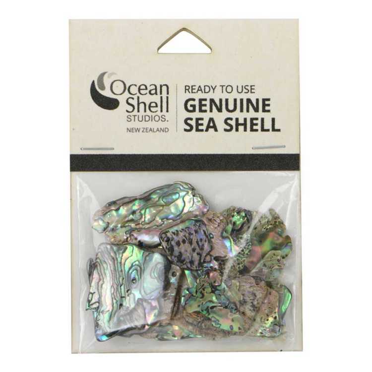 Search shell | Spotlight New Zealand