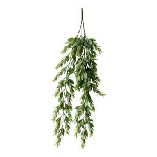Ruscus Hanging Bush Green 75 cm