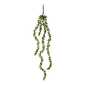 String Of Pearl Hanging Plant Green 71 cm