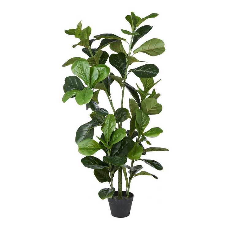 Jumbo Fiddle Leaf Plant Green 150 cm