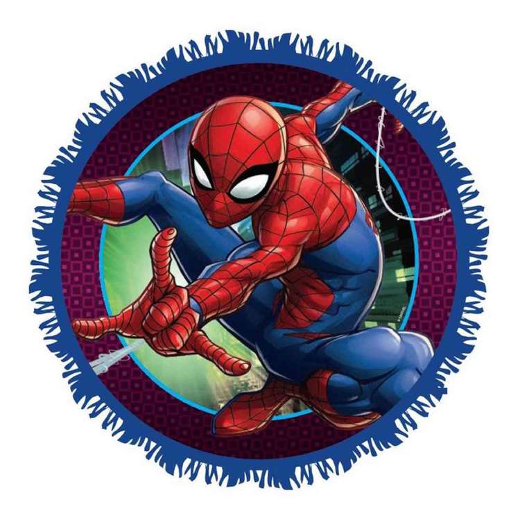 Marvel Spidermn Web Pinata