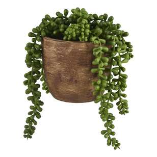 Succulent Beads In Pot Green 15 cm
