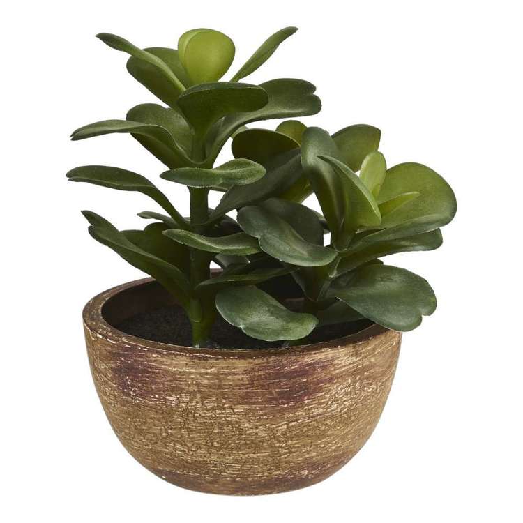 Living Space Eves Pin Succulent Pot