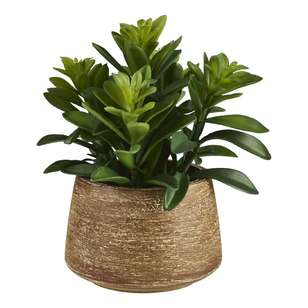 Laurel Pot Green 21 x 24 cm