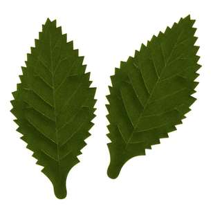 Ribtex Cut Out Leaf Pack Green