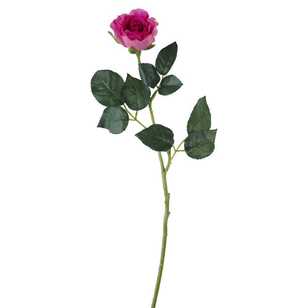 Single Rose Stem Beauty