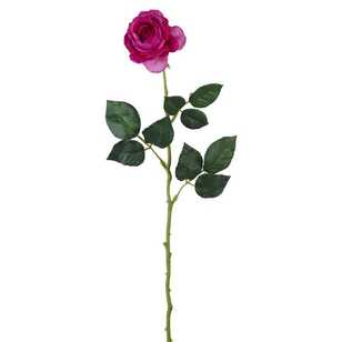 Single Rosebud Stem Beauty