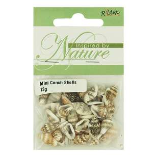 Ribtex Mini Conch Shell Beads Pack Natural
