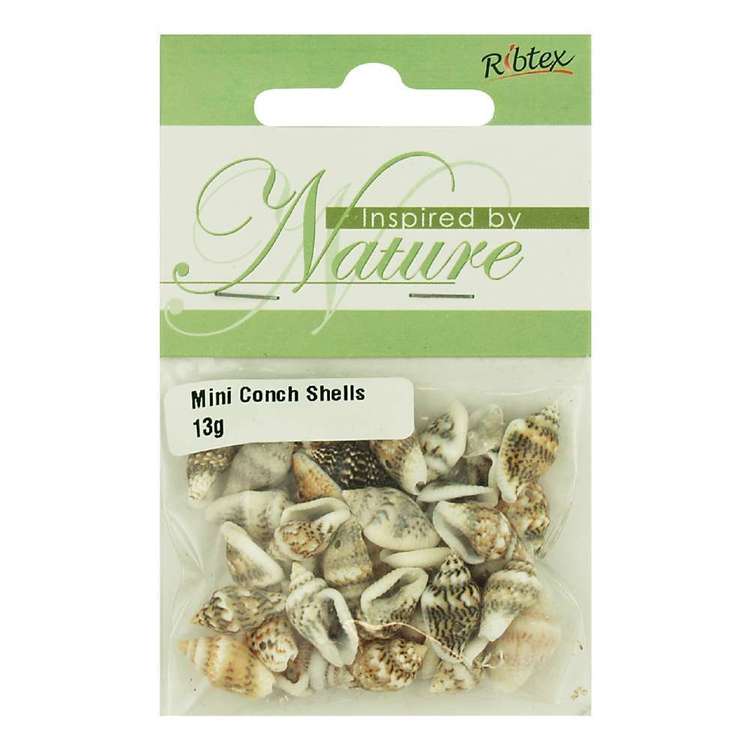 Ribtex Mini Conch Shell Beads Pack