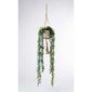 105 cm String of Pearls in Hanging Pot Green 105 cm