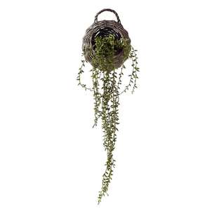 Plant In Hanging Basket Green 55 cm