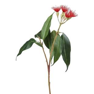 Eucalyptus Flower Spray Red 50 cm