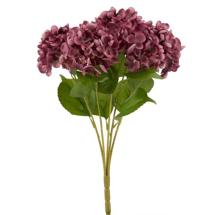 Brown Spots On Hydrangea Leaves The Instapaper