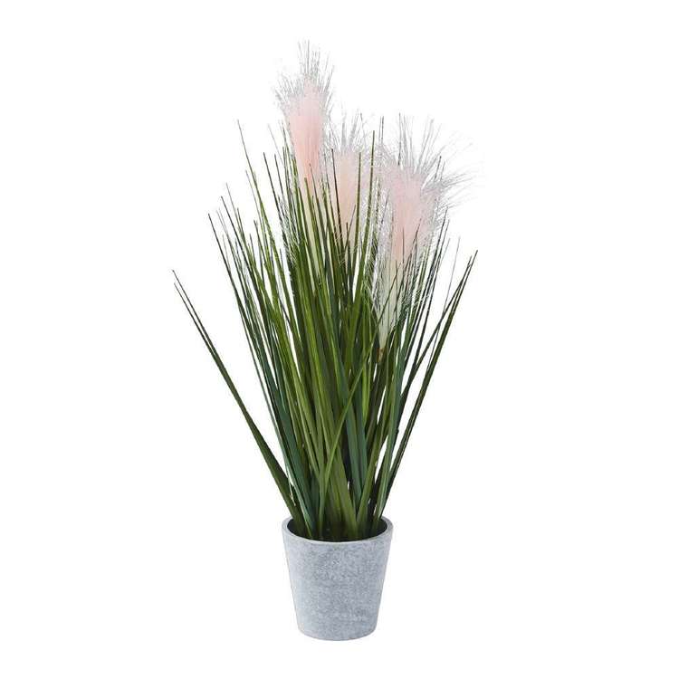 Botanica Foxtail With Grass In a Pot
