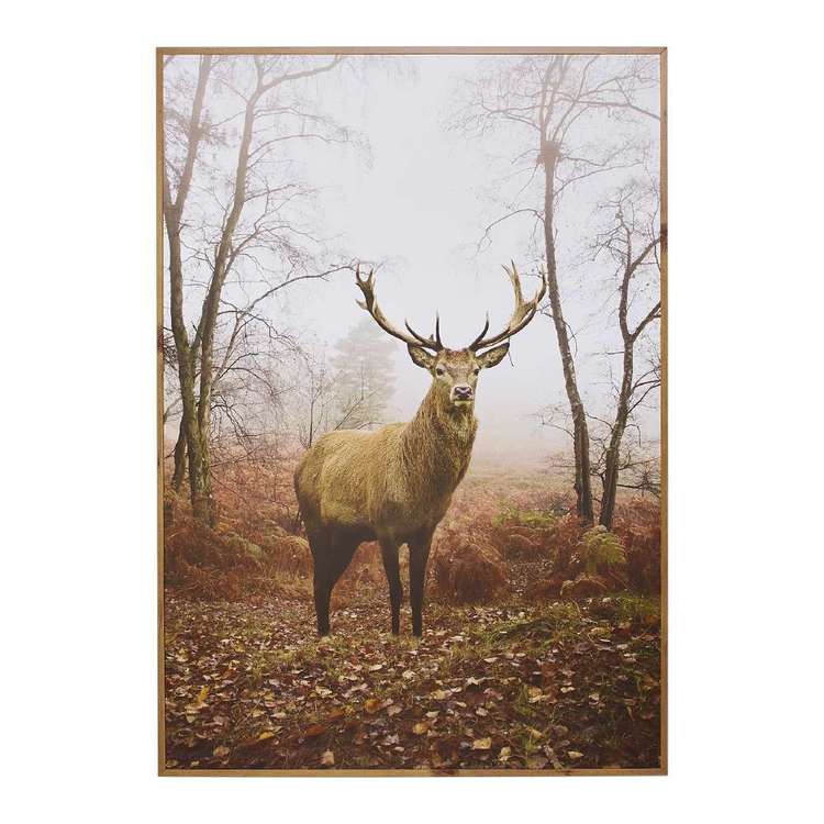 Cooper & Co Framed Deer Art