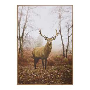 Cooper & Co Framed Deer Art Brown 70 x 100 cm