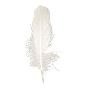 Craftsmart Negorie Goose Feather 24 Pack White