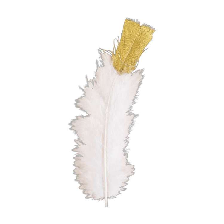 Craftsmart Marabou Feather 10 Pack
