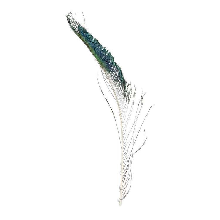 Craftsmart Peacock Swords Feather 8 Pack