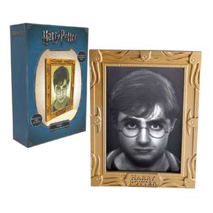 Harry Potter Holopane - Harry Potter Multicoloured