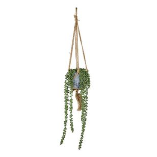String Of Pearls in a Hanging Pot Green 17 x 90 cm