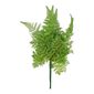 Soft Finish Fern Bush Green 30 cm