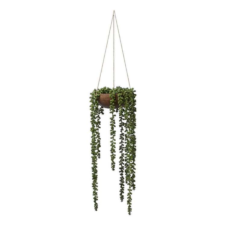 Hanging Beans in a Palm Pot