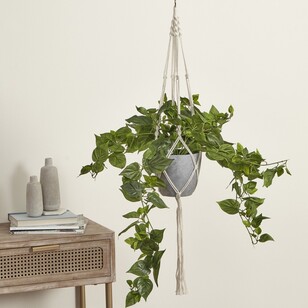 Hanging Ivy Green 62 x 95 cm