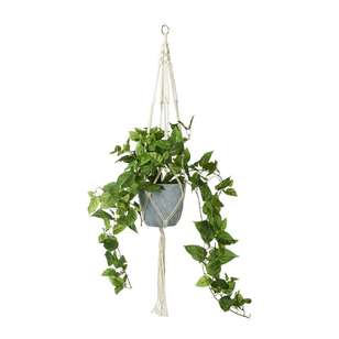 Hanging Ivy Green 62 x 95 cm
