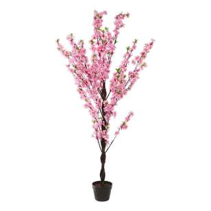 Cherry Blossom Tree Pink 160 cm
