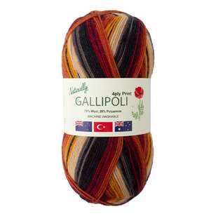 Naturally Gallipoli 4 Ply Print Yarn Kalahari 100 g